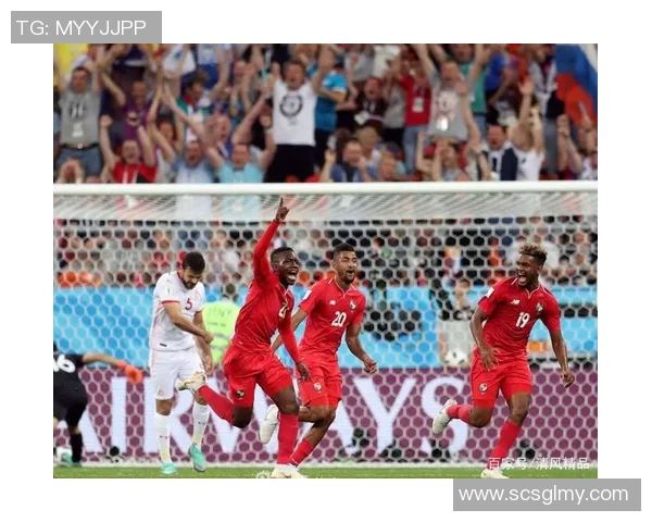 突尼斯与马里足球对决比分直播全程跟踪与精彩分析