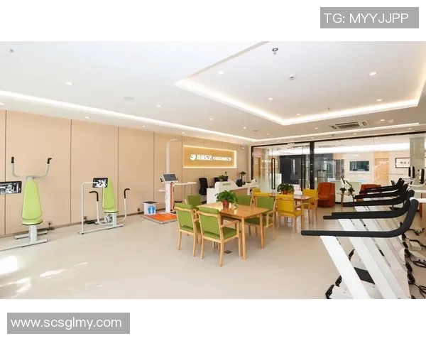 探索上海健身器材市场的最新趋势与热门产品推荐